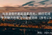 当浪漫情怀邂逅温柔月光，明日花绮罗的魅力在夜空中缓缓流转（序号174）