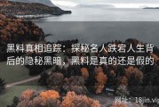 黑料真相追踪：探秘名人跌宕人生背后的隐秘黑暗，黑料是真的还是假的