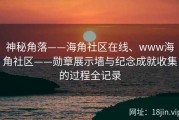 神秘角落——海角社区在线、www海角社区——勋章展示墙与纪念成就收集的过程全记录
