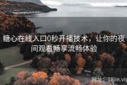 糖心在线入口0秒开播技术，让你的夜间观看畅享流畅体验