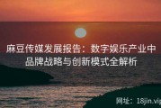 麻豆传媒发展报告：数字娱乐产业中品牌战略与创新模式全解析