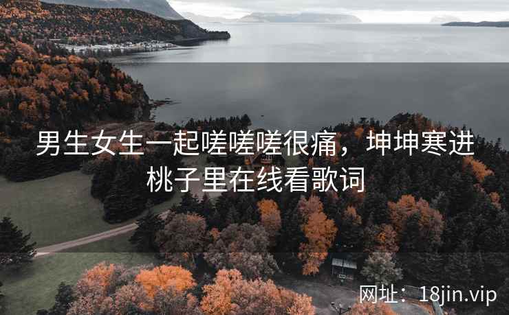 男生女生一起嗟嗟嗟很痛，坤坤寒进桃子里在线看歌词