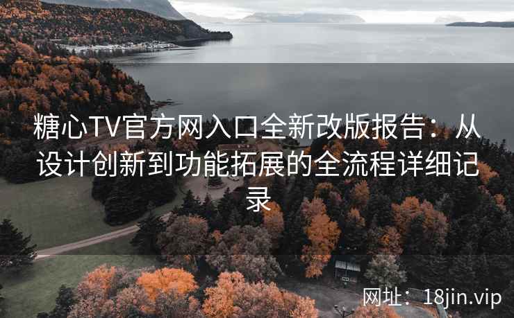 糖心TV官方网入口全新改版报告：从设计创新到功能拓展的全流程详细记录