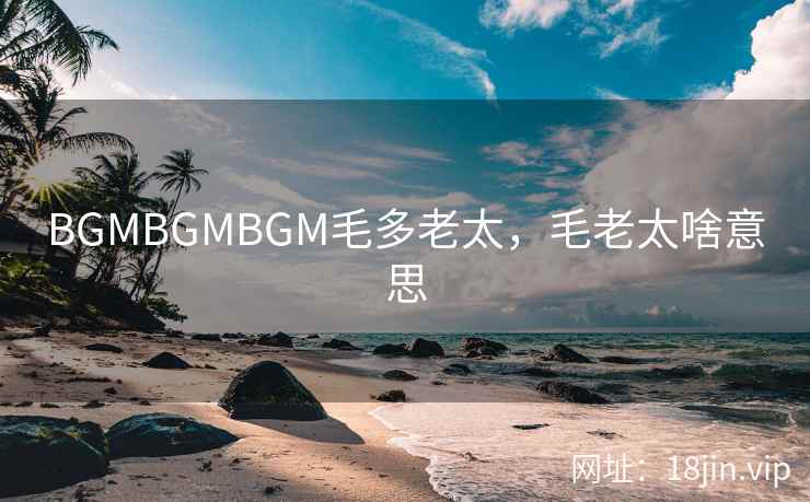 BGMBGMBGM毛多老太，毛老太啥意思