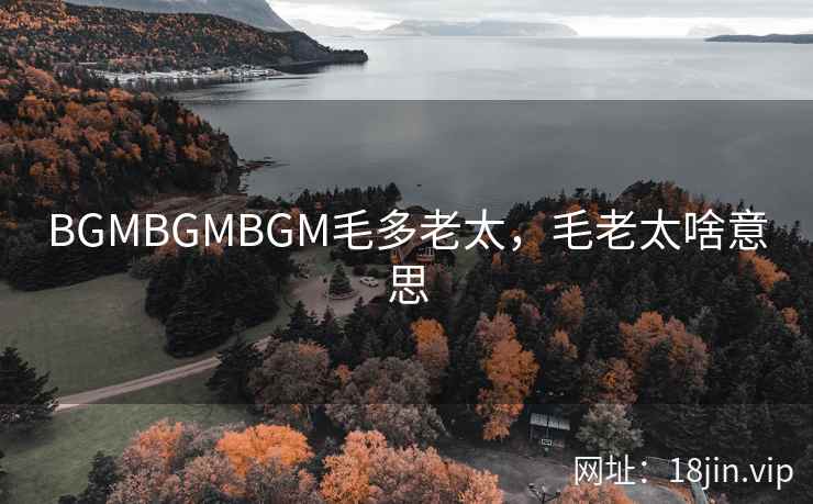 BGMBGMBGM毛多老太，毛老太啥意思