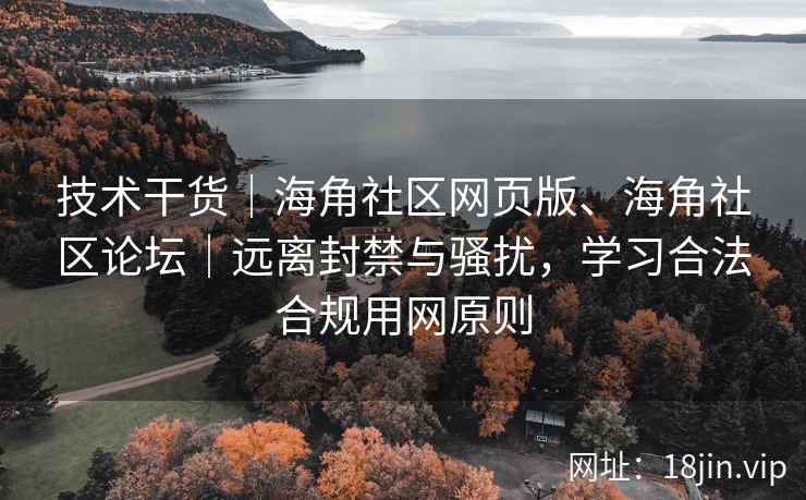 技术干货｜海角社区网页版、海角社区论坛｜远离封禁与骚扰，学习合法合规用网原则