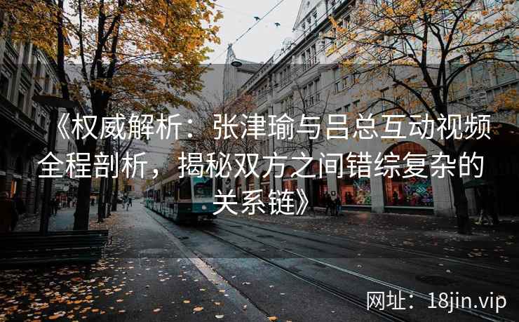 《权威解析：张津瑜与吕总互动视频全程剖析，揭秘双方之间错综复杂的关系链》